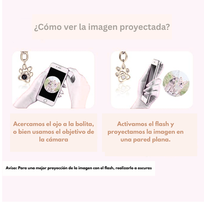 Collar de mascota personalizable