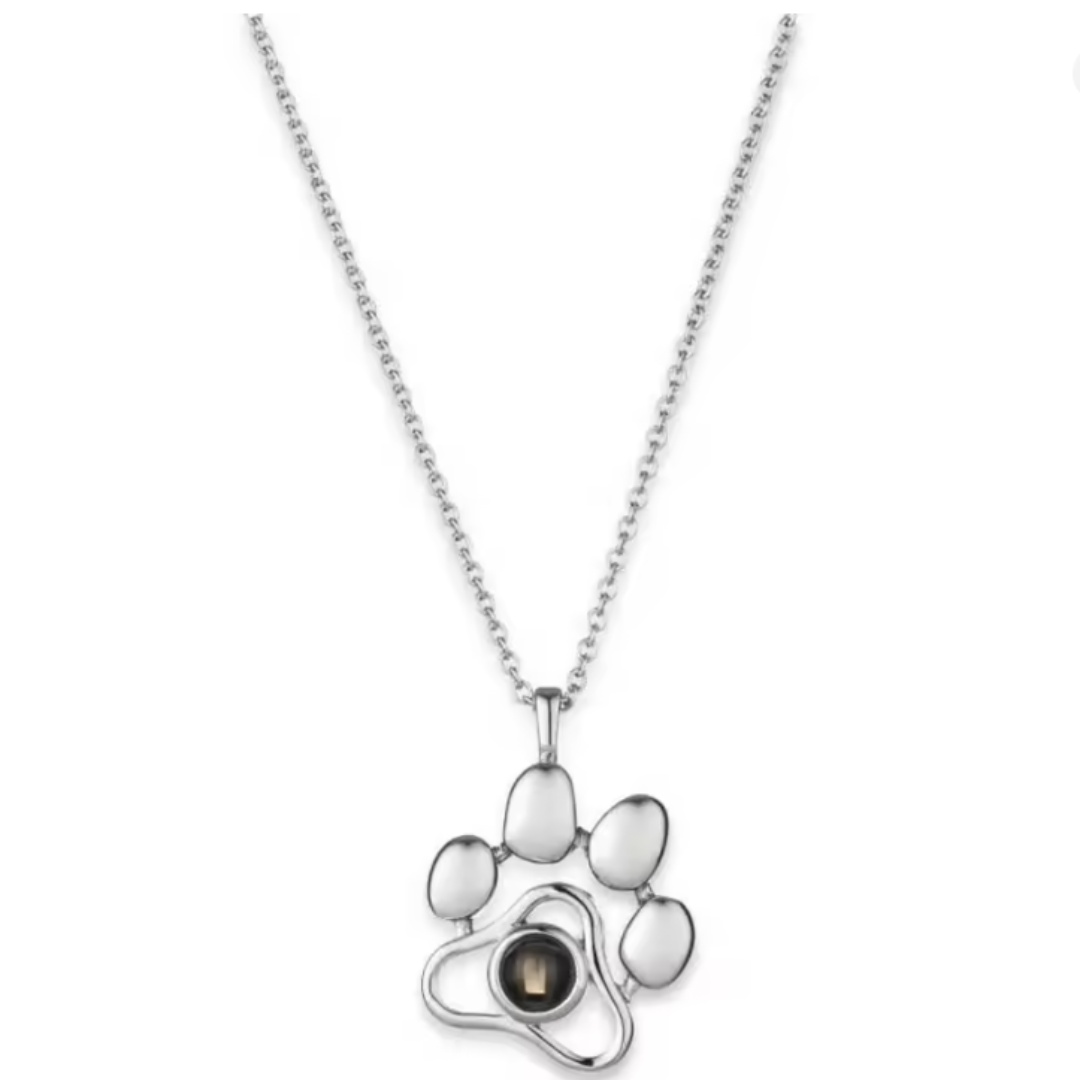 Collar de mascota personalizable