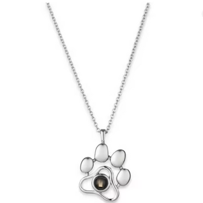 Collar de mascota personalizable