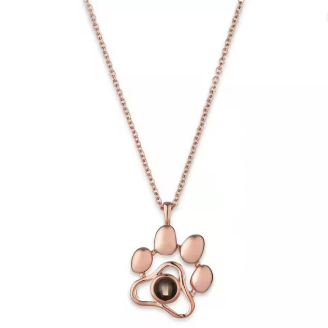 Collar de mascota personalizable