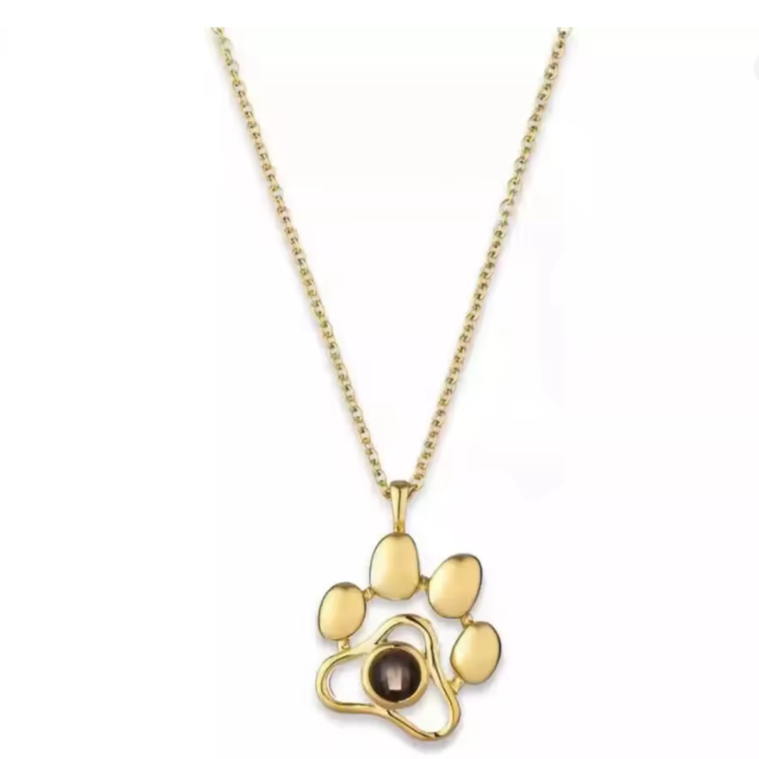 Collar de mascota personalizable